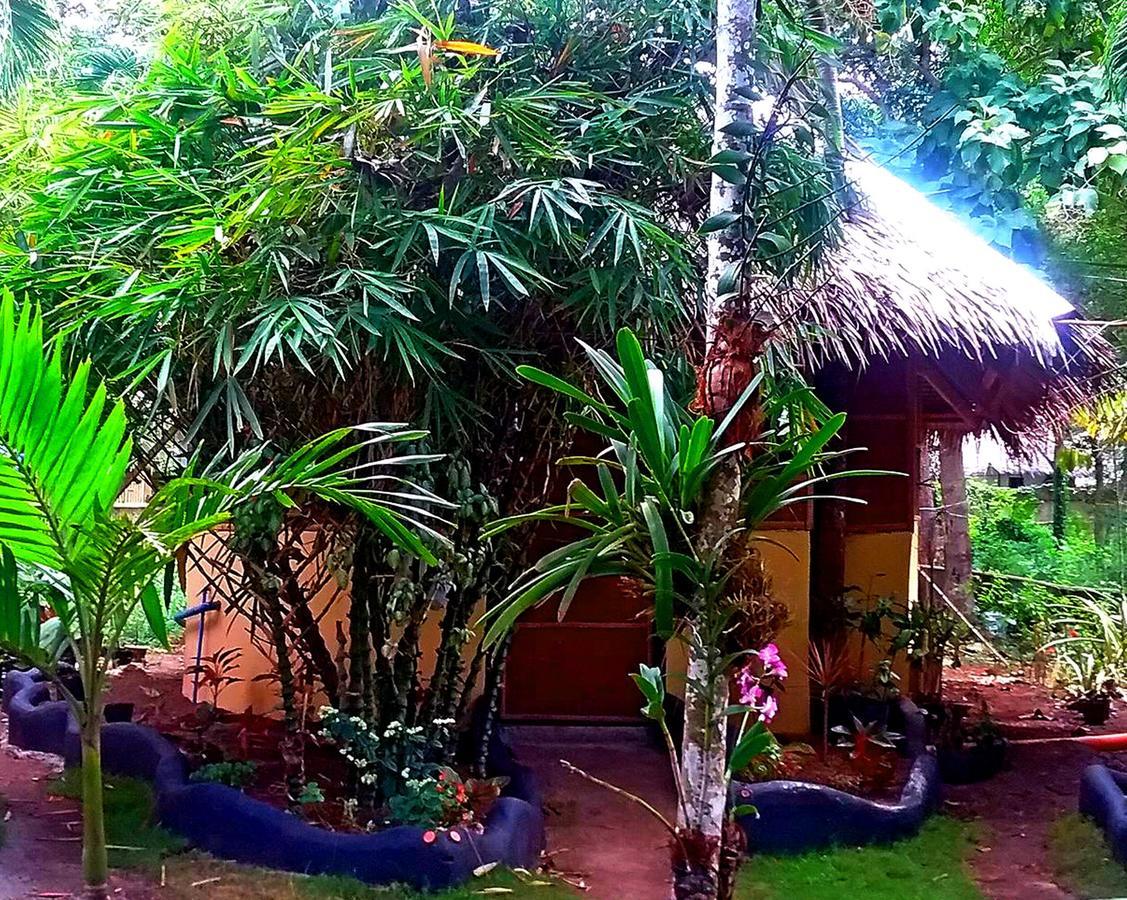 Lennon'S Place Backpacker Hostel Panglao Exteriör bild